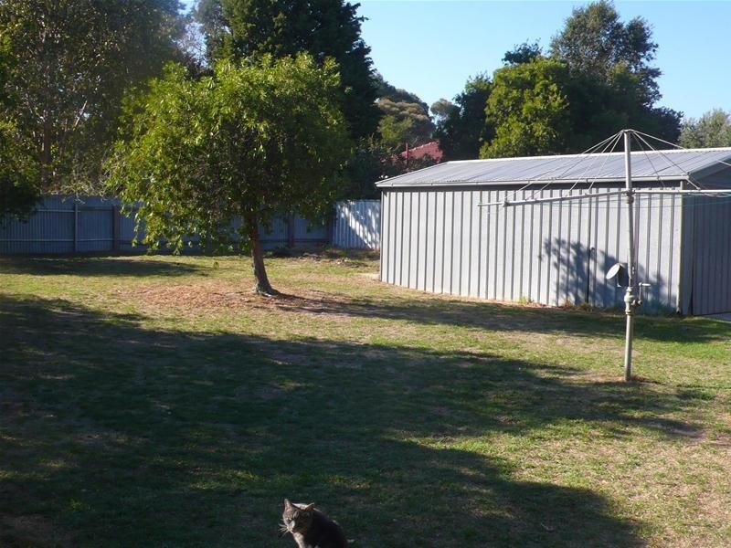 1 Oleander Drive, Banksia Park SA 5091