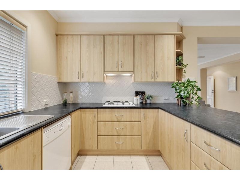 5 Slape Grove, Payneham South SA 5070