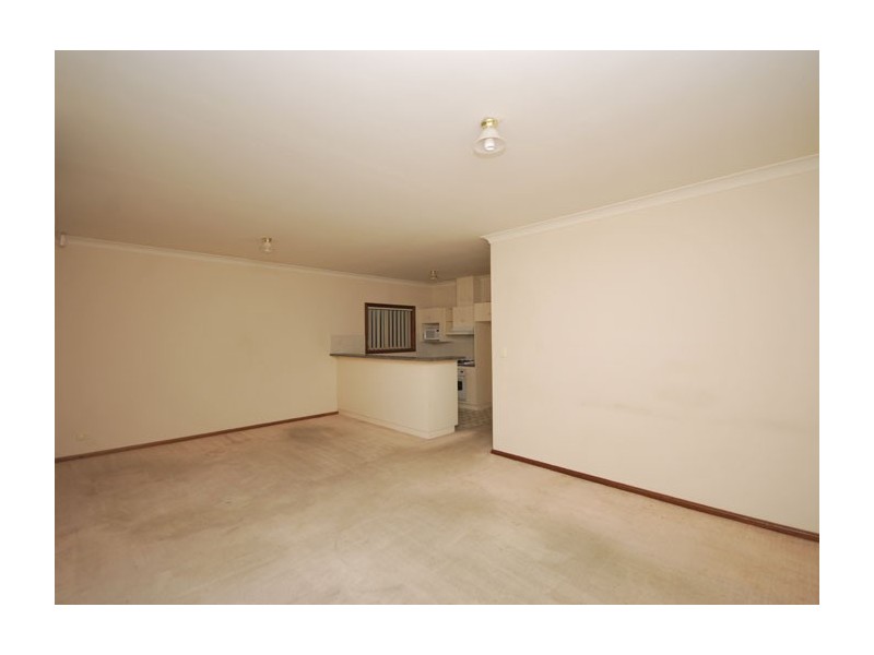 25 Dargie Avenue, Hope Valley SA 5090