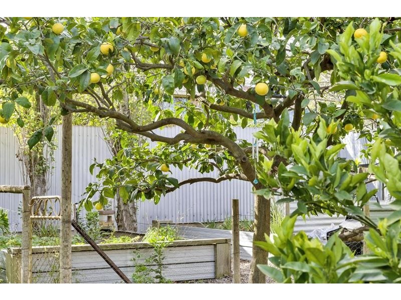 3 Brown Crescent, St Agnes SA 5097