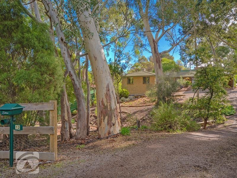 12 Treetop Street, Tea Tree Gully SA 5091