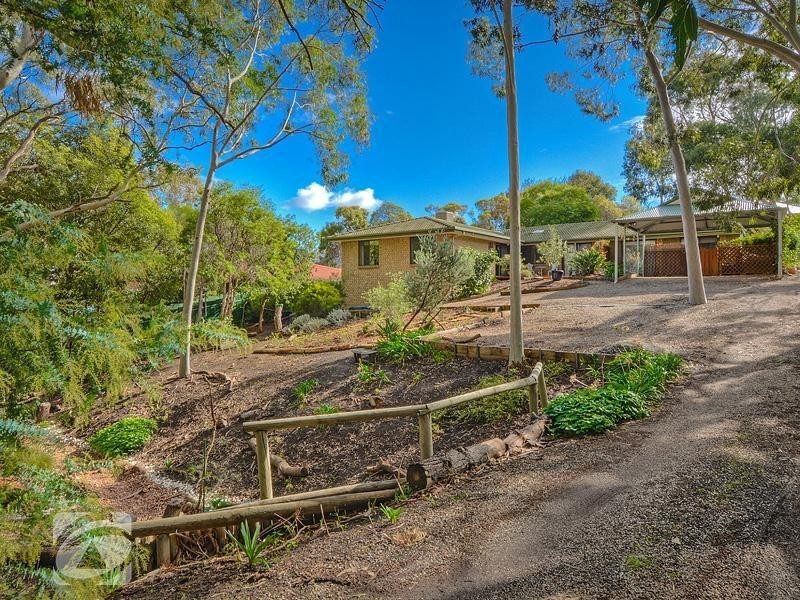 12 Treetop Street, Tea Tree Gully SA 5091
