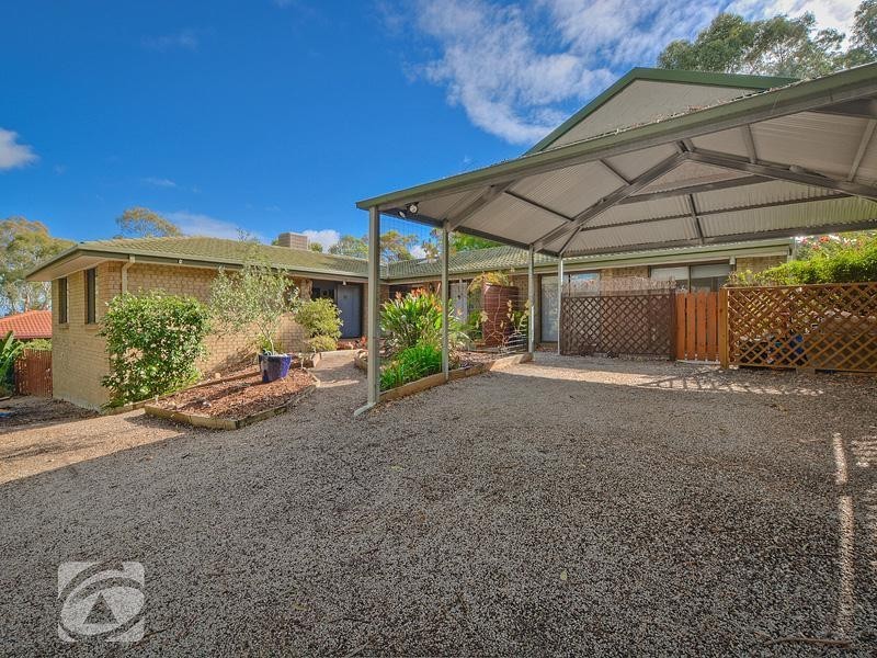 12 Treetop Street, Tea Tree Gully SA 5091