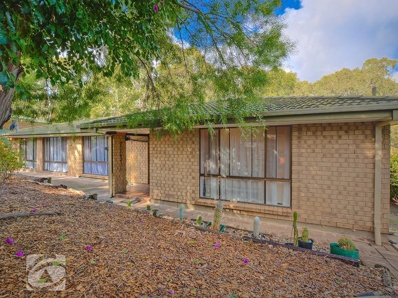 12 Treetop Street, Tea Tree Gully SA 5091