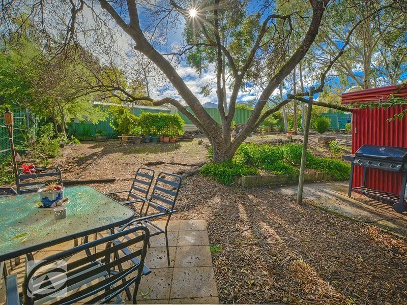 12 Treetop Street, Tea Tree Gully SA 5091