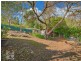 12 Treetop Street, Tea Tree Gully SA 5091
