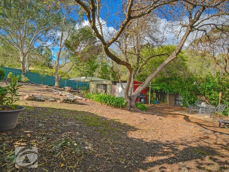 12 Treetop Street, Tea Tree Gully SA 5091