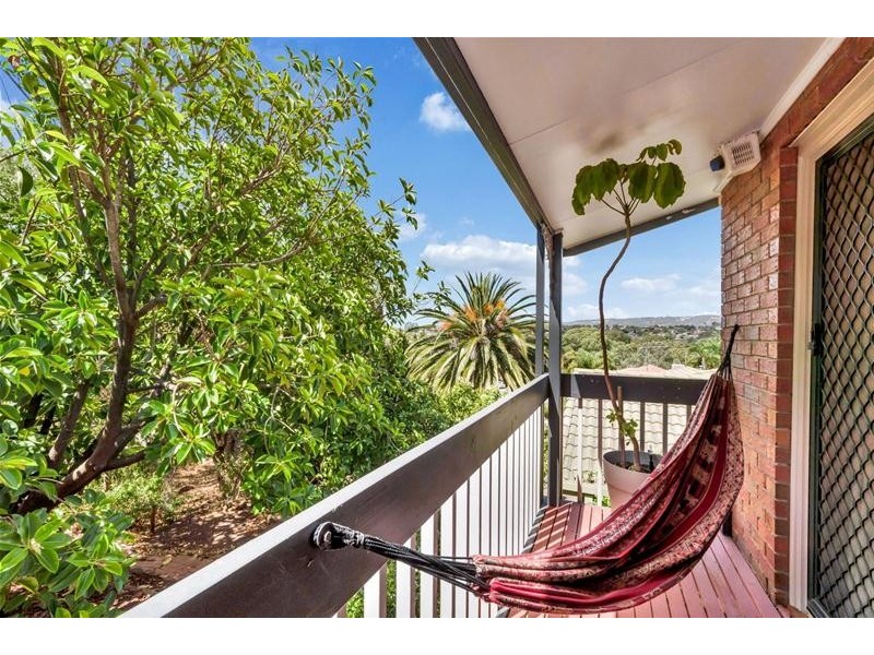 13 Coalport Terrace, Modbury Heights SA 5092