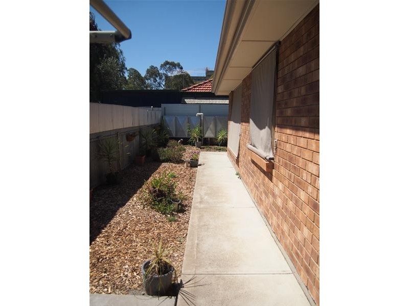 2A Alison Street, Modbury SA 5092