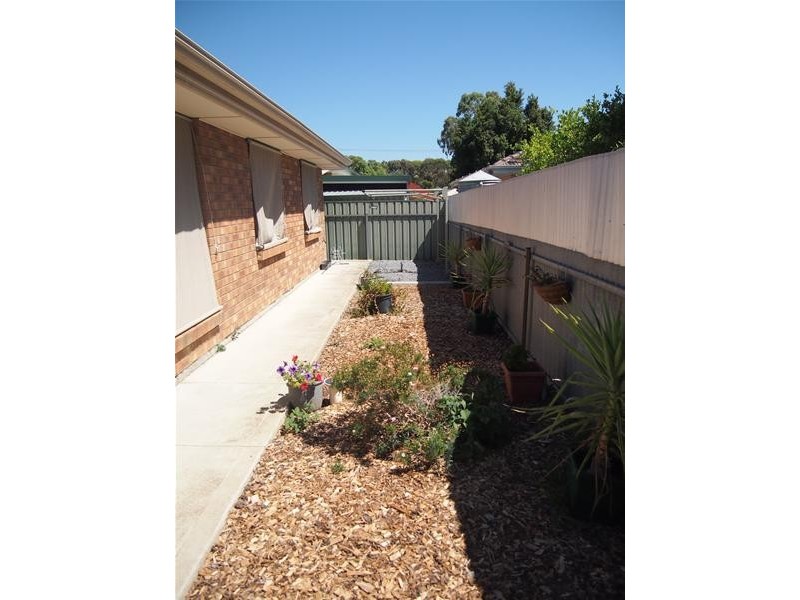 2A Alison Street, Modbury SA 5092