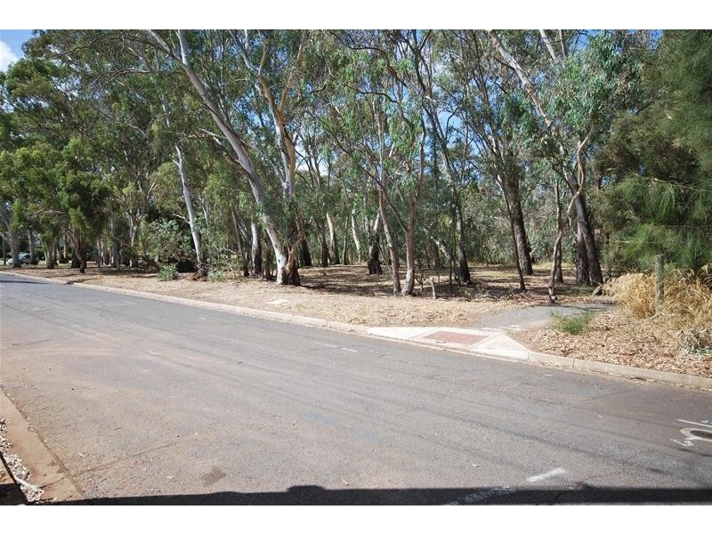 2 Shannon Rise, Banksia Park SA 5091