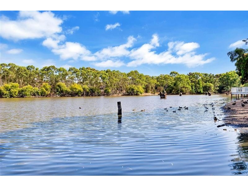 16 Alicante Avenue, Wynn Vale SA 5127