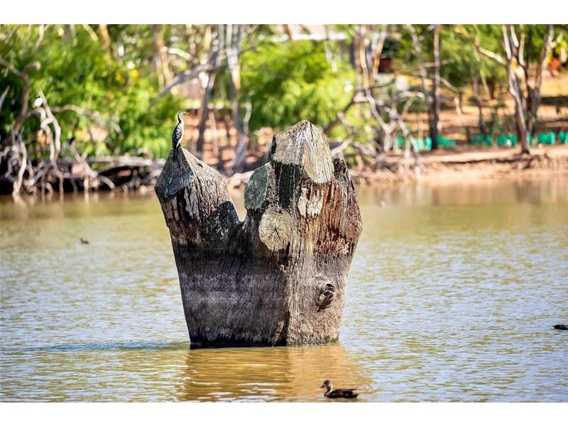 16 Alicante Avenue, Wynn Vale SA 5127