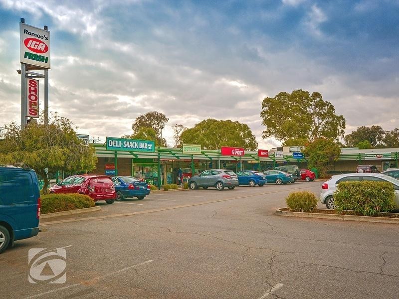 29 Northbri Avenue, Salisbury East SA 5109