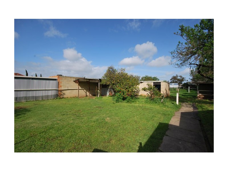 11 Thistle Avenue, Klemzig SA 5087
