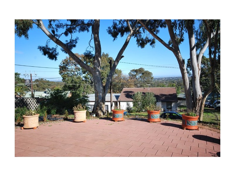 7 Mintanta Drive, Banksia Park SA 5091