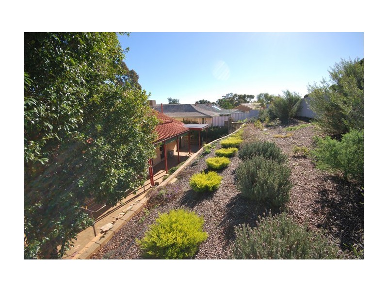 7 Mintanta Drive, Banksia Park SA 5091