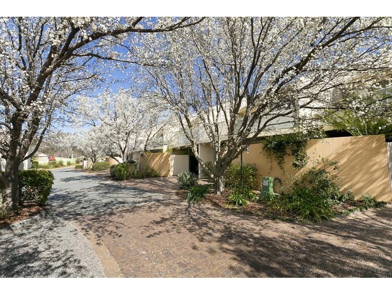 6/17 Fernyhough Street, Lyneham ACT 2602