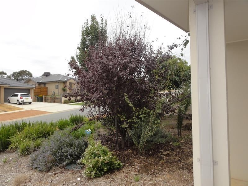 23 Eric De Salis Street, Macgregor ACT 2615