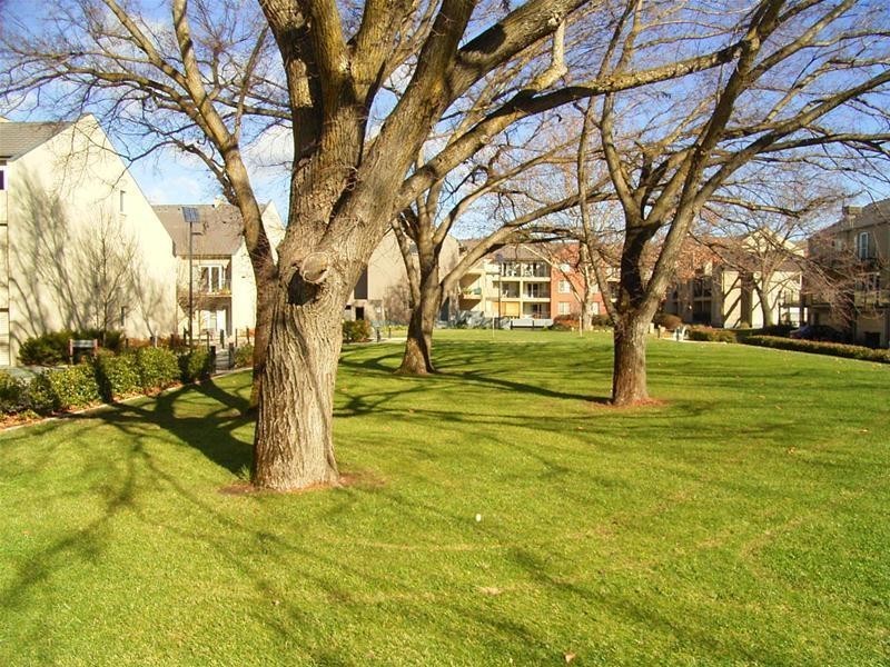 46/30 Bluebell Street, O’connor ACT 2602