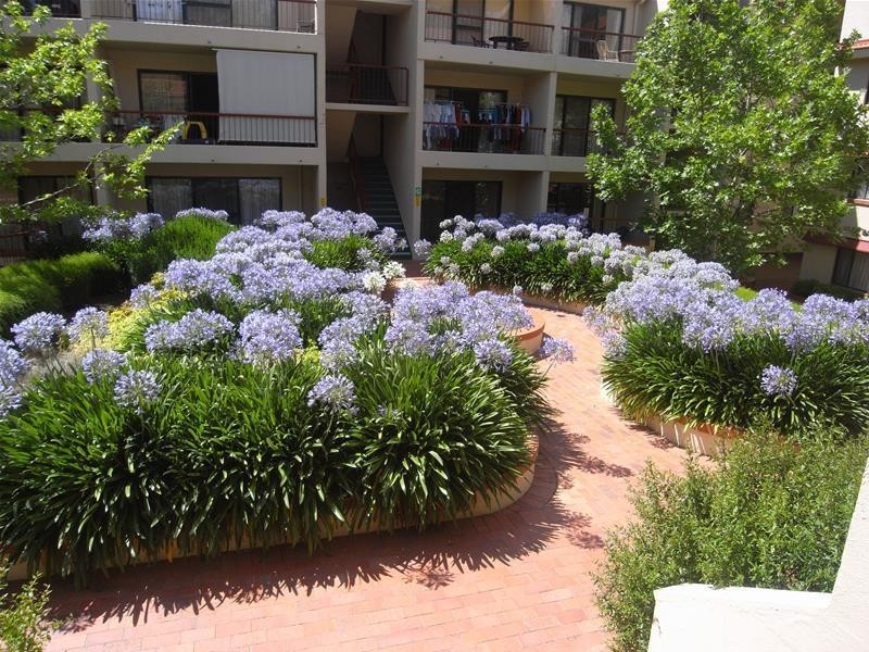 83/14 Boolee Street, Reid ACT 2612