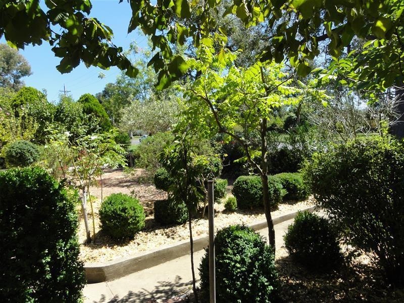 24 Macarthur Avenue, O’connor ACT 2602