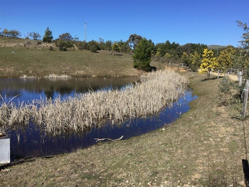 68 Walga Close, Carwoola ACT 2620