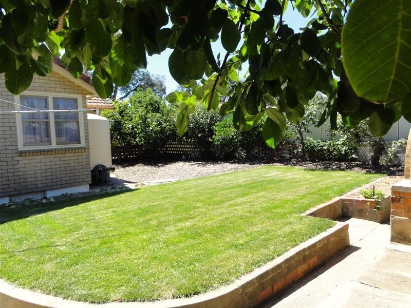 24 Macarthur Avenue, O’connor ACT 2602