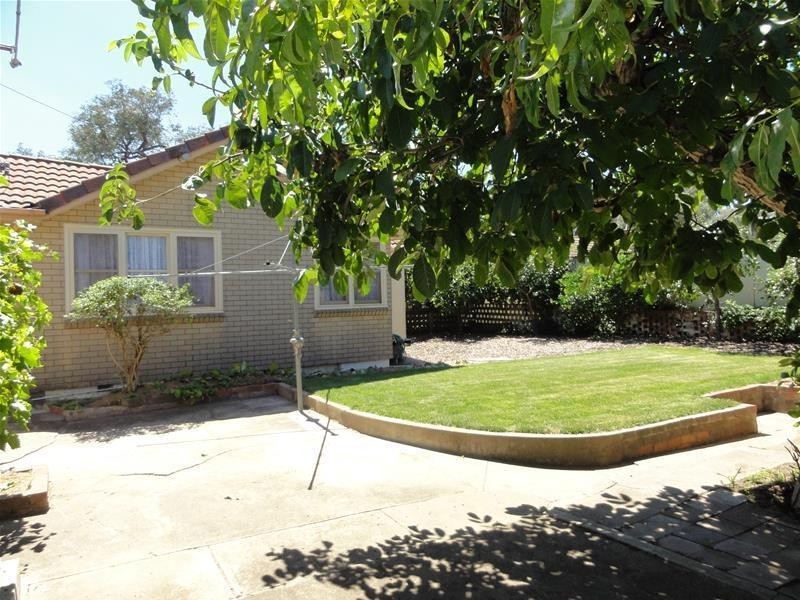 24 Macarthur Avenue, O’connor ACT 2602