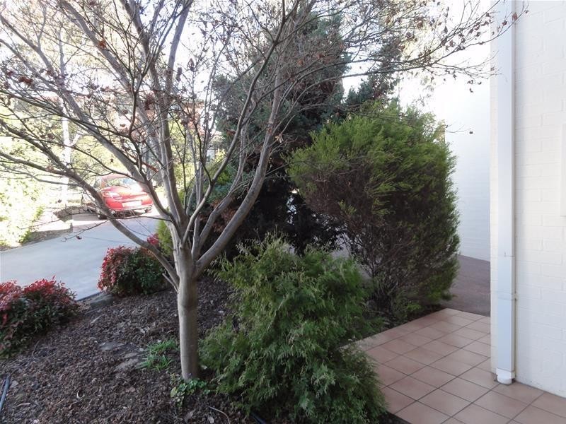 6/29 Anne Clark Street, Nicholls ACT 2913