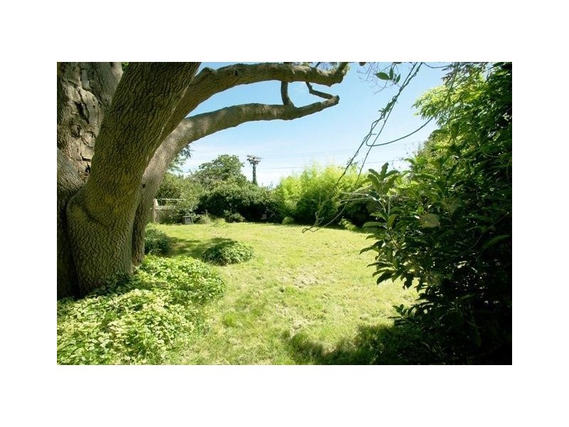 5 Forbes Street, Turner ACT 2612