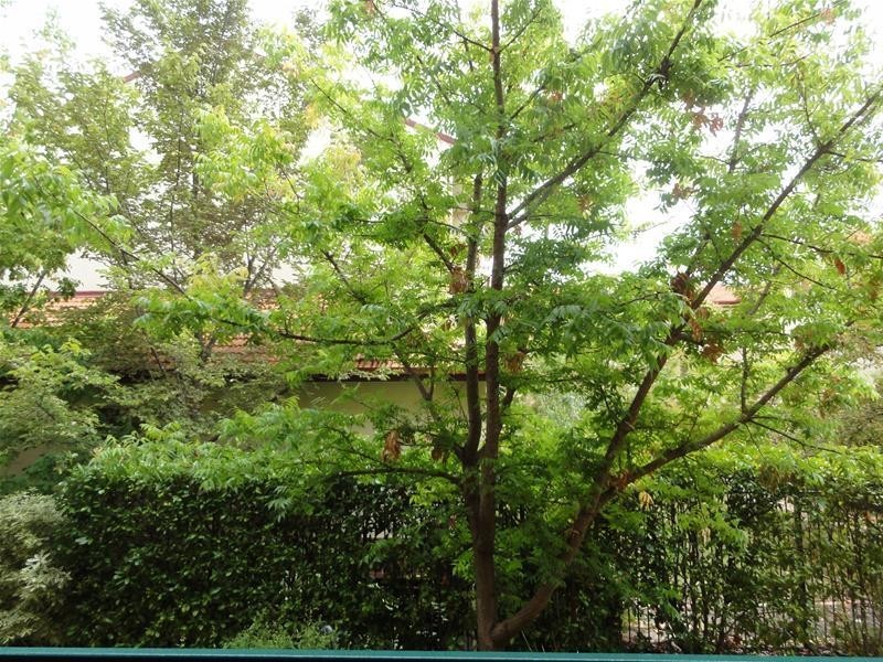 60/11 Fawkner Street, Braddon ACT 2612