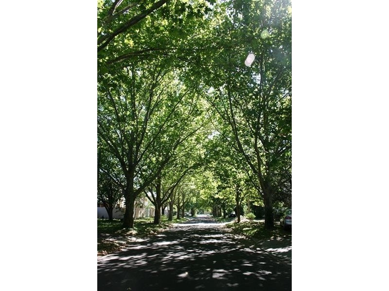 3/10 Stockdale Street, Dickson ACT 2602