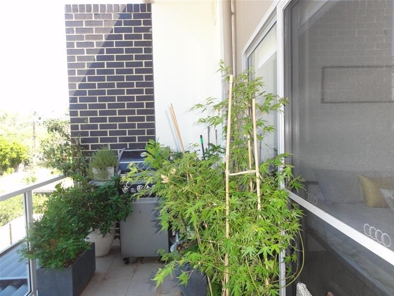 8/5 Verdon Street, O’connor ACT 2602