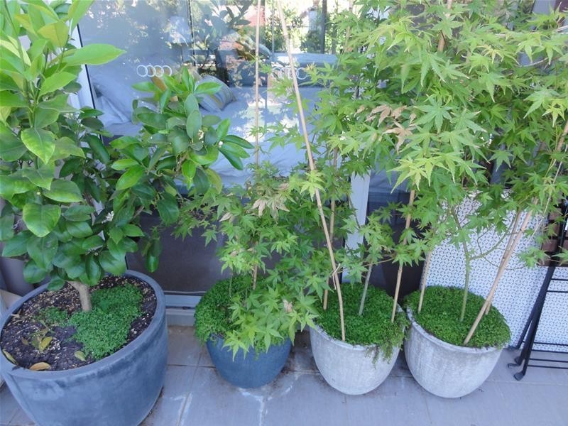 8/5 Verdon Street, O’connor ACT 2602