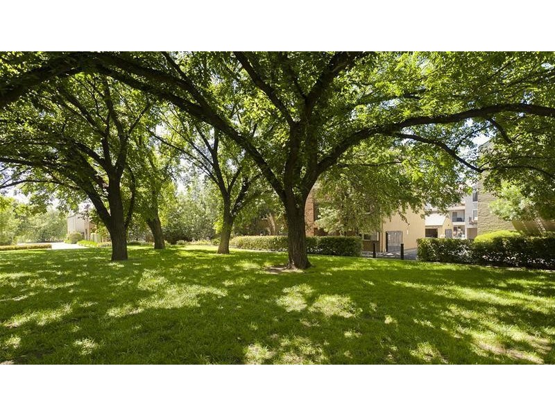 20/52 Bluebell Street, O’connor ACT 2602