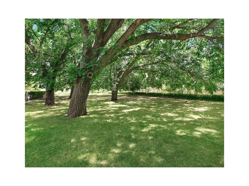 22/50 Bluebell Street, O’connor ACT 2602