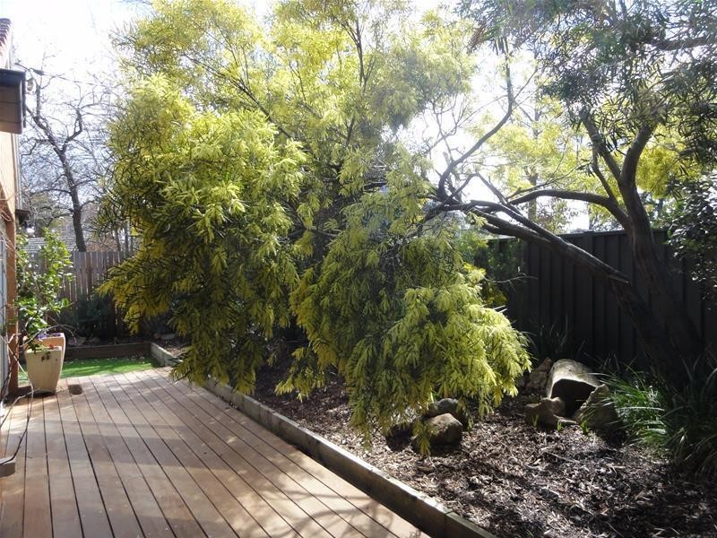 62A Ormond Street, Turner ACT 2612