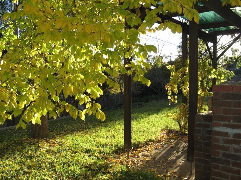 41 Fellows Street, Latham ACT 2615