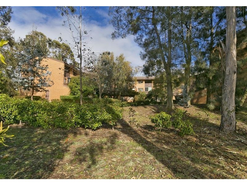 62/17 Medley  Street, Chifley ACT 2606