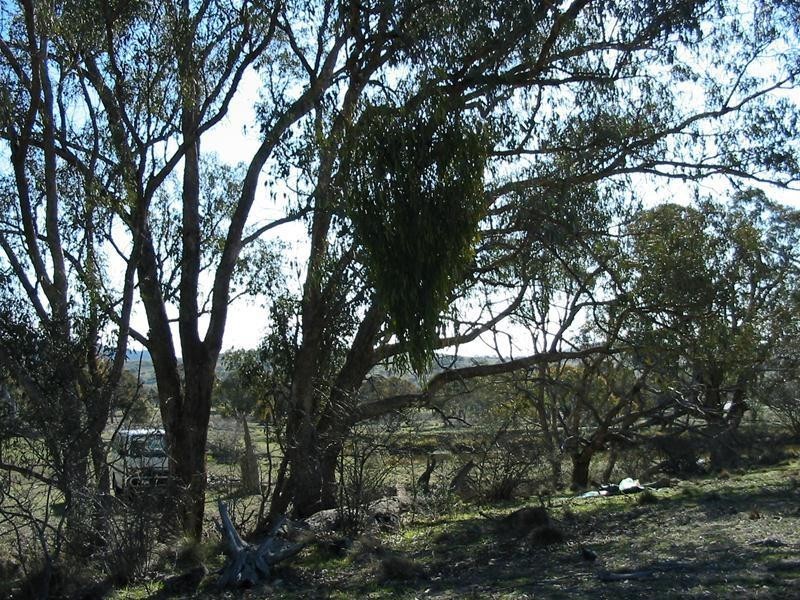 39 Morgan Place, Googong NSW 2620