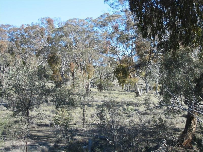 39 Morgan Place, Googong NSW 2620