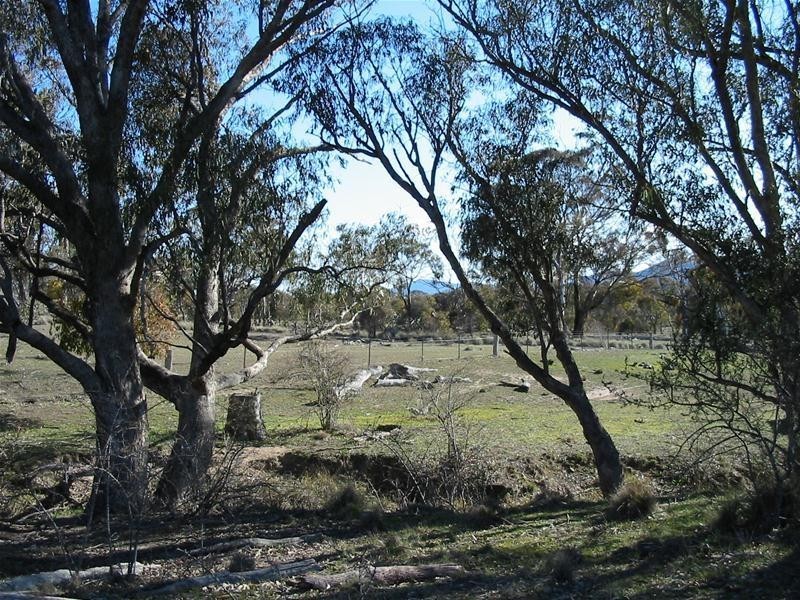 39 Morgan Place, Googong NSW 2620