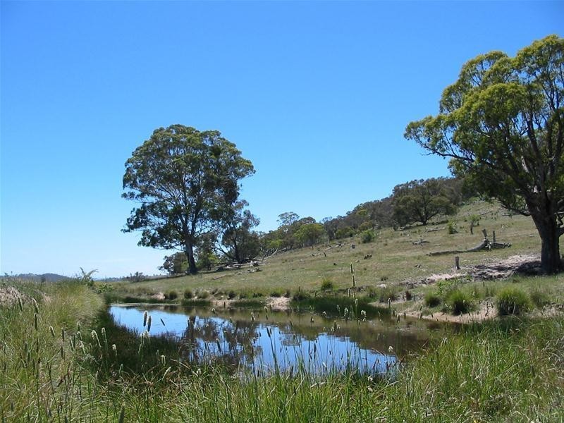 39 Morgan Place, Googong NSW 2620