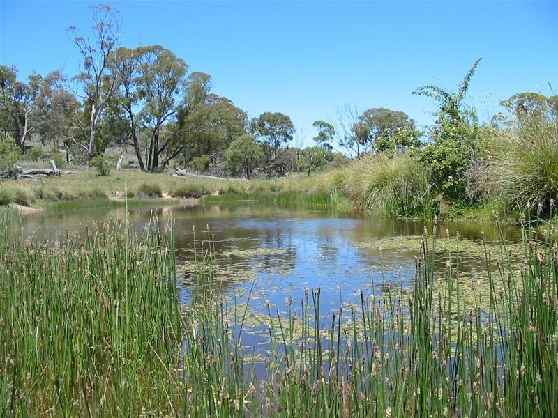 39 Morgan Place, Googong NSW 2620