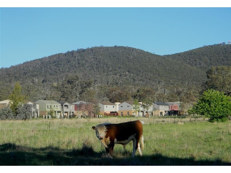 37 Whitmore Crescent, Watson ACT 2602