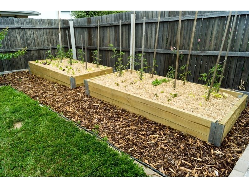 22 Charles Perkins Circuit, Bonner ACT 2914