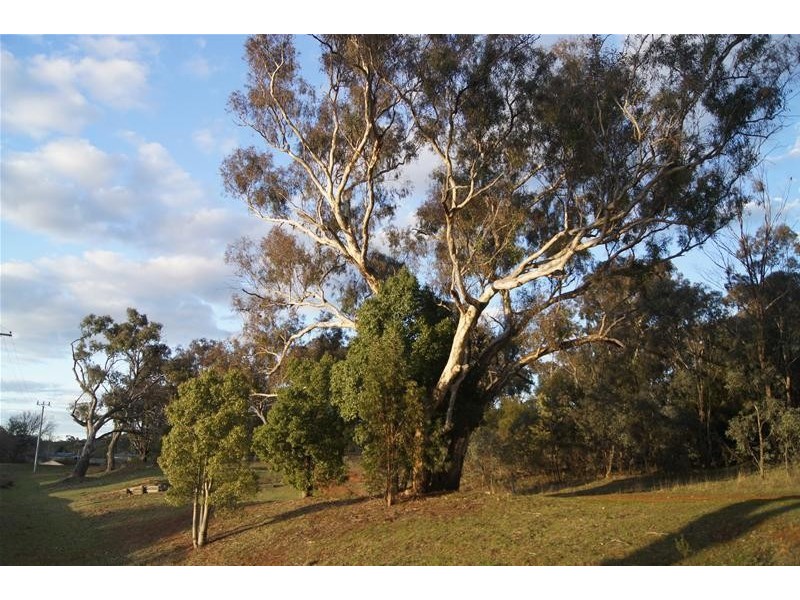 102 Duffy Street, Ainslie ACT 2602