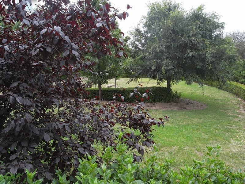 6/43 Blackall Street, Barton ACT 2600