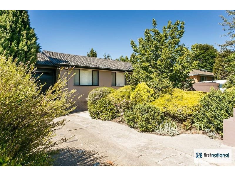 19 Richmond Street, Macquarie ACT 2614